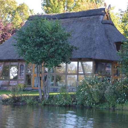 Reetdachkate Auf Gestuet Schierensee Grebin ภายนอก รูปภาพ