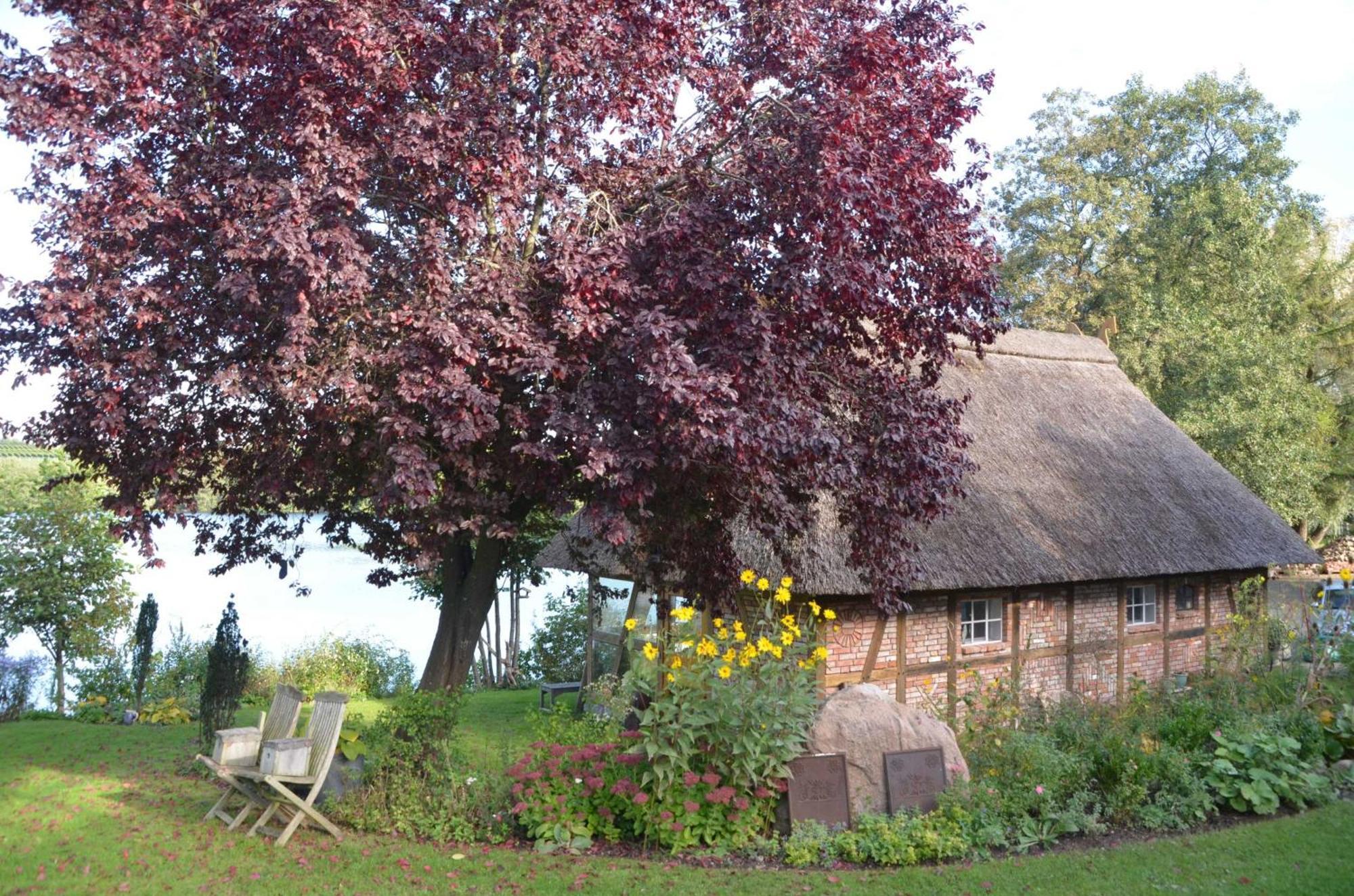 Reetdachkate Auf Gestuet Schierensee Grebin ภายนอก รูปภาพ